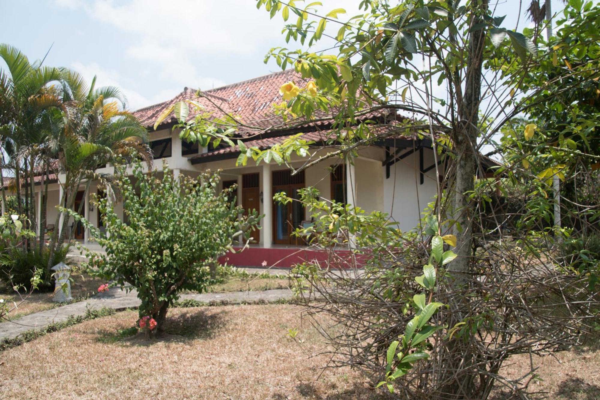 Guesthouse Rumah Senang Kalibaru Exterior photo